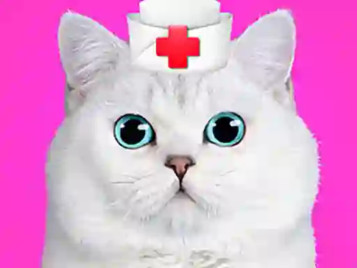 Spill Cat Pet Doctor Dentist online