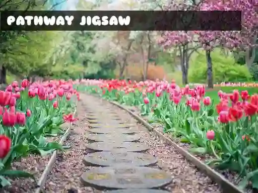 Spill Pathway Jigsaw online