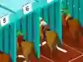 Spill Derby racing online