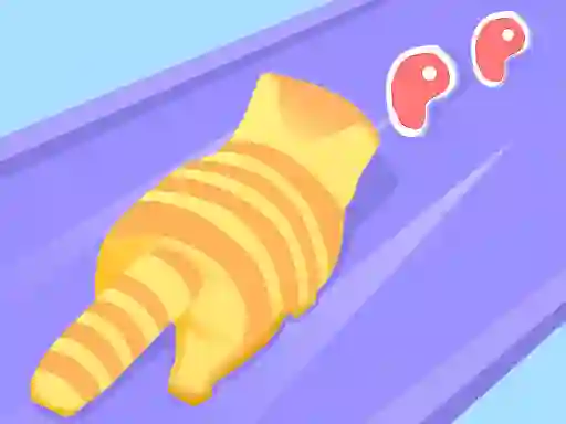 Spill Cat Evolution online