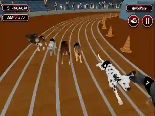 Spill Crazyl Dog Racing Fever online