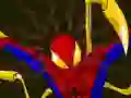 Spill Spiderman Customization online