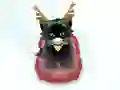 Spill Pet Sledding online