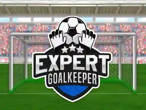 Spill Expert Goalkeeper online