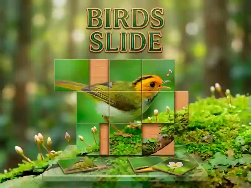 Spill Birds Slide online