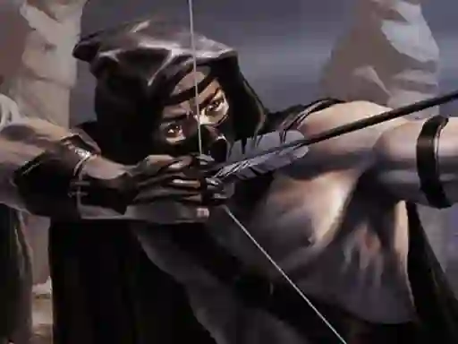 Spill Shadow Archers online