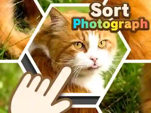 Spill Sort Photograph online