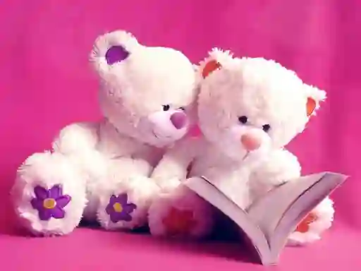 Spill Cute Teddy Bears Slide online
