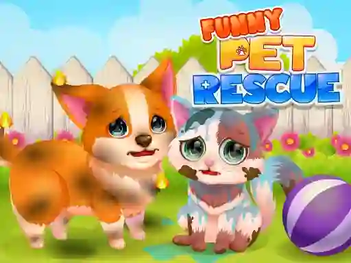 Spill Funny Rescue Pet online