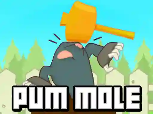 Spill Pum-Mole online