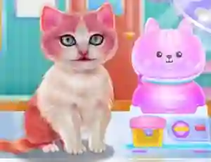 Spill Kitty Dental Caring online