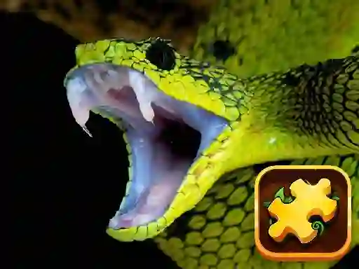 Spill Snake Puzzle Challenge online