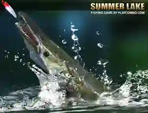 Spill Summer Lake online