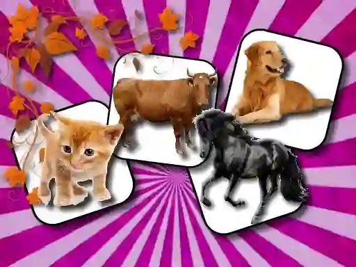 Spill Domestic Animal Memory Challenge online