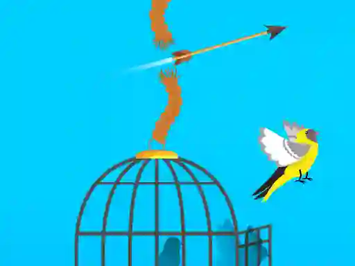 Spill Free Birds online