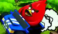 Spill Poultry ACE Downhill online