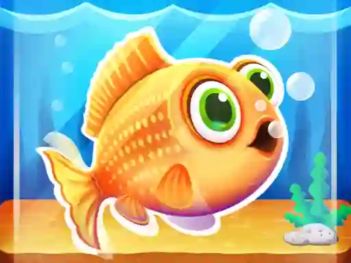 Spill Fish tank my aquarium online