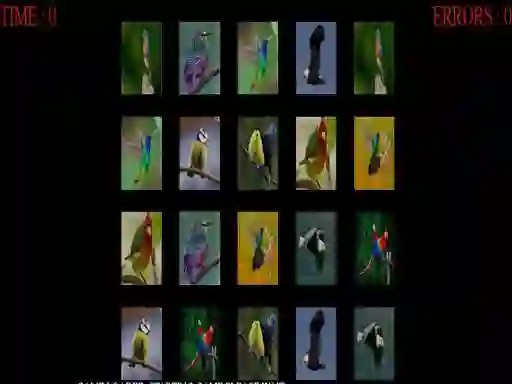Spill Memorize the birds online