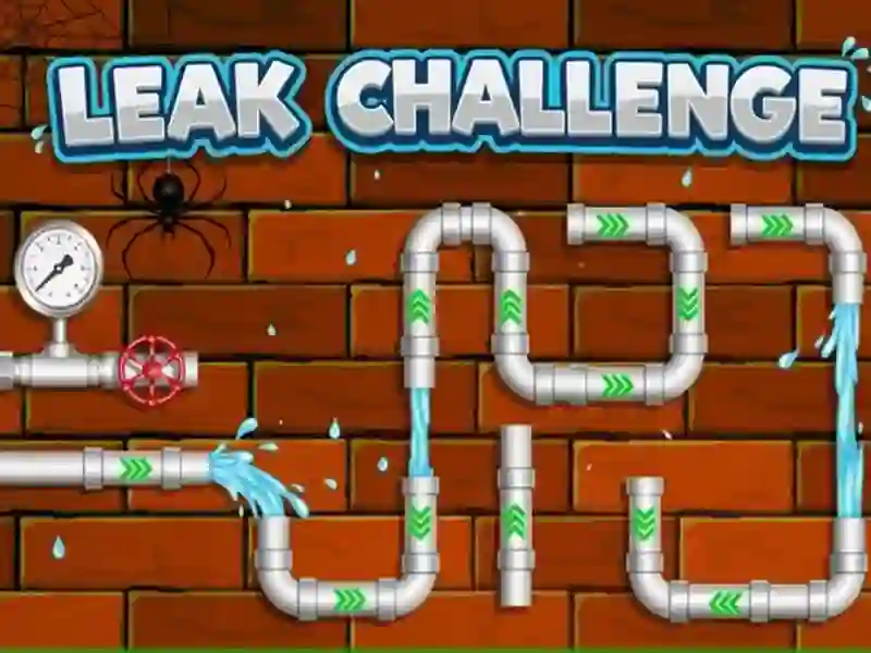 Spill Leak Challenge online