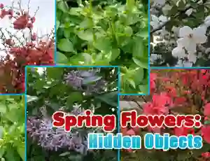 Spill Spring Flowers: Hidden Objects online