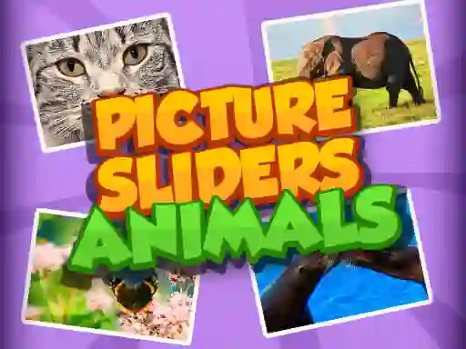 Spill Picture Slider Animals online