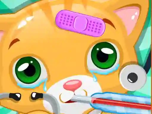 Spill Little Cat Doctor online