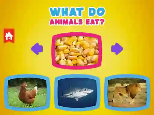 Spill What Do Animals Eat? online