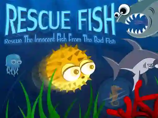 Spill Rescue Fish online
