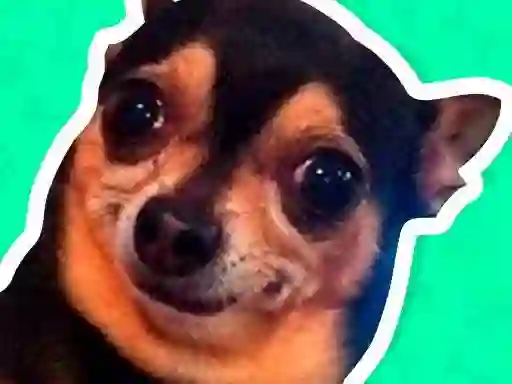 Spill What meme dog are you ? online