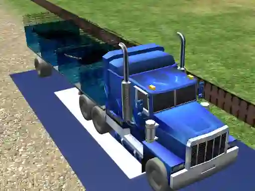 Spill Sea Animal Transport online