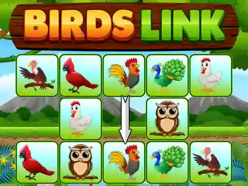 Spill Birds Link online