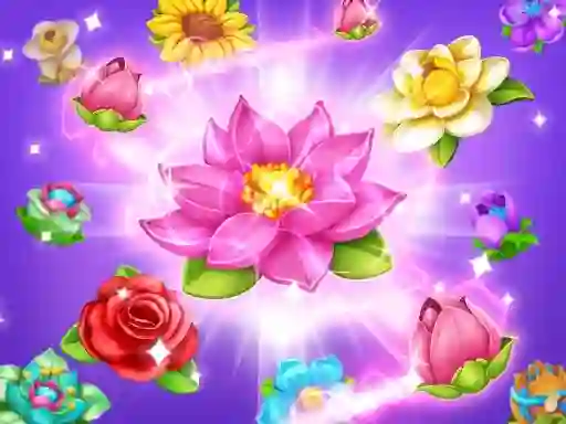 Spill Blossom online