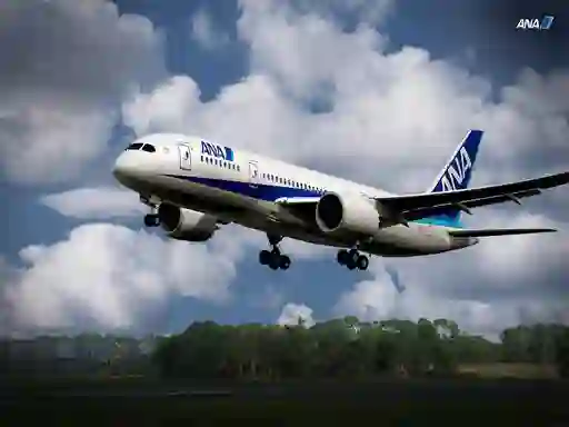 Spill Boeing Dreamliner Puzzle online