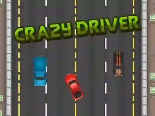 Spill Crazy Driver online