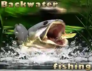 Spill Backwater Fishing online
