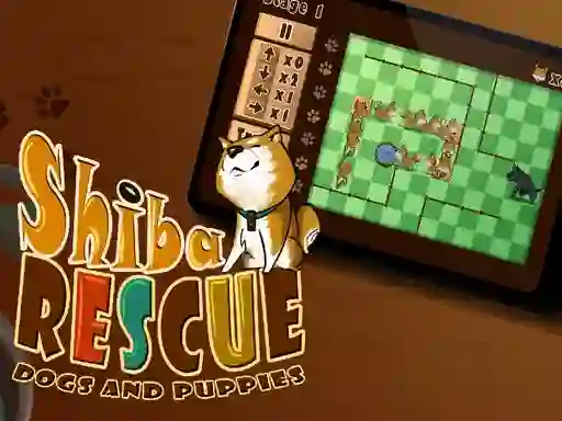 Spill Shiba rescue : dogs and puppies online