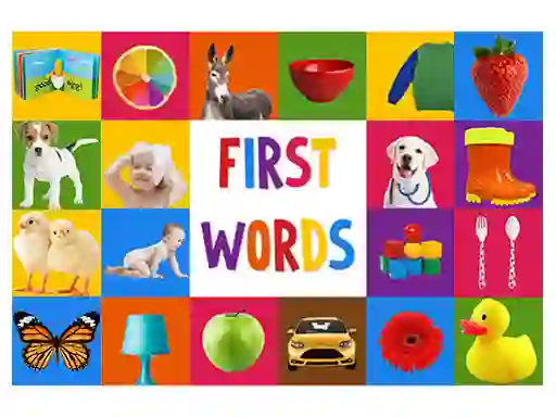 Spill First Words online
