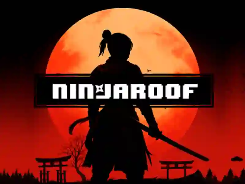 Spill Ninja Roof online