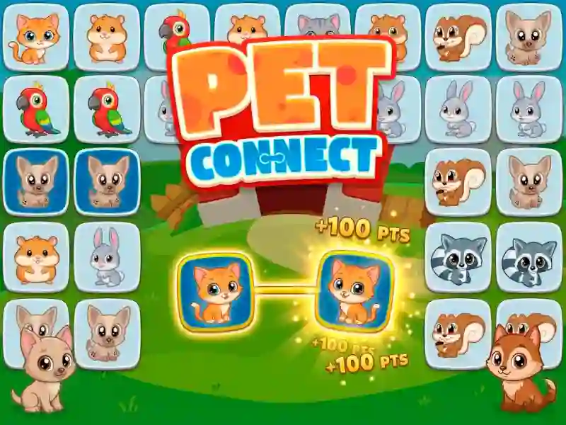 Spill Pet connect online