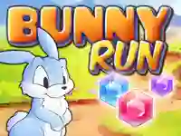 Spill Bunny Run online