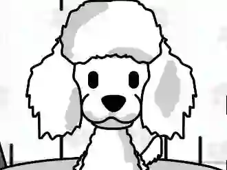 Spill Pampered Paws Doggy Day online