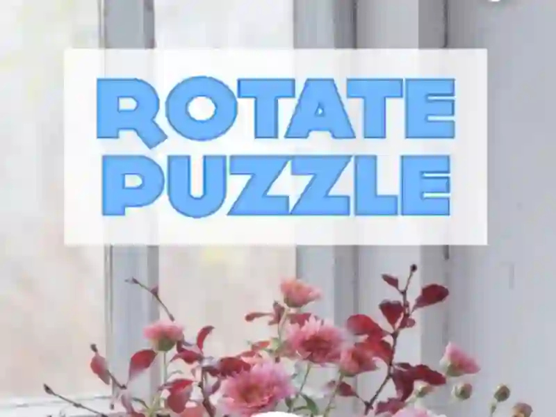 Spill Rotate Puzzle online