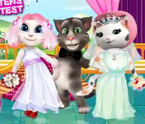 Spill White Kittens Bride Contest online