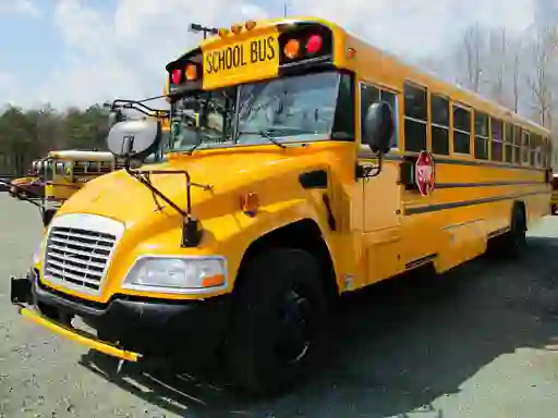 Spill School Buses Puzzle online