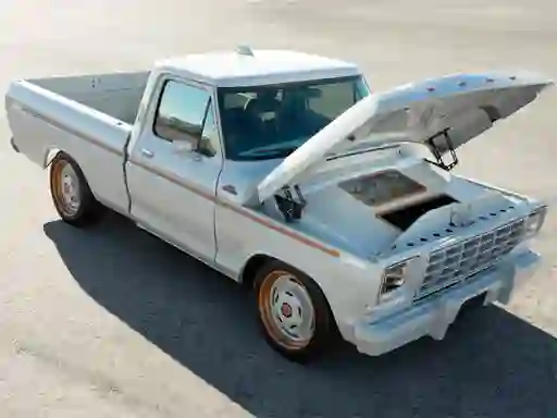 Spill Ford F-100 Eluminator Slide online
