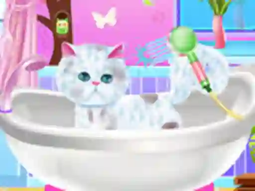 Spill Excellent Pet Groomer online