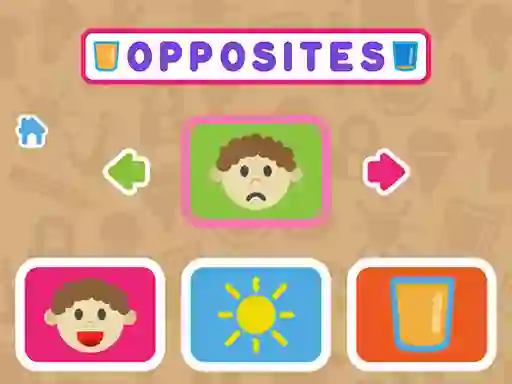Spill Opposites online