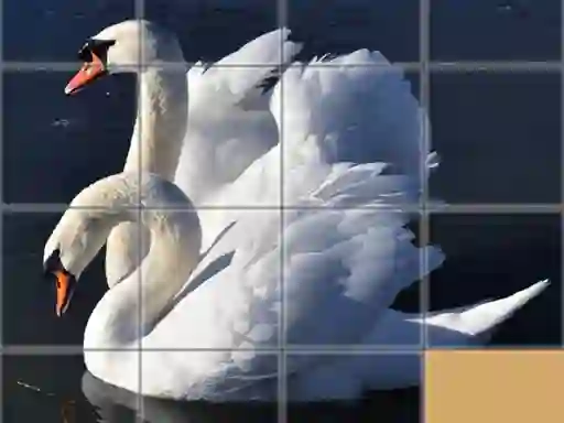 Spill Animals Slide Puzzle online