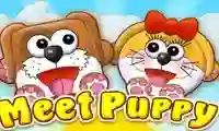 Spill Meet Puppy online