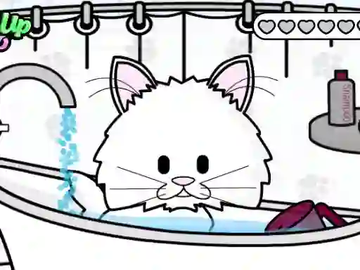 Spill Pet Salon Kitty Care online